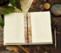 Diary - Image 4