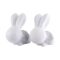 Rabbit Cute Pair Statue for Home Decor Showpiece | Kids Room Decorative Showpiece (White) - Image 4