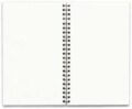 Diary - Image 2
